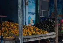 Harga Jeruk Melonjak di Momentum Maulid