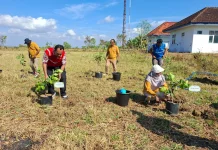 RRI Sumenep Kolaborasi dengan Sejumlah Pihak Tanam Pohon di Kawasan Pemancar