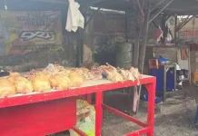 Bulan Maulid, Harga Daging Ayam Capai Rp50 Ribu
