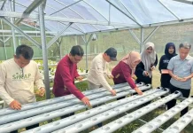 SMKN 1 Sumenep Kembangkan Program SIKAP Melalui Pertanian dan Perikanan