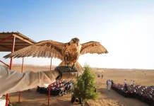 Mengenal Falconry di Uni Emirat Arab