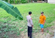 Lewat Program P2B, Polsek Batuputih Dorong Budidaya Kangkung Hidroponik