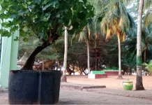 Rokat Sumur yang Mulai Sirna