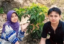 KUA Guluk-Guluk Gagas Program Pohon Cinta, Padukan Kepedulian Lingkungan