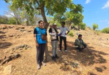 PLN Bergerak Cepat Akselerasi Pembangunan PLTS 104 kWp di Pulau Tonduk Raas
