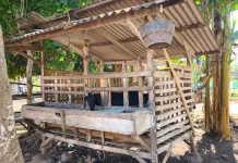 Peternak Kambing Bluto Keluhkan Banyak Ternak Mati