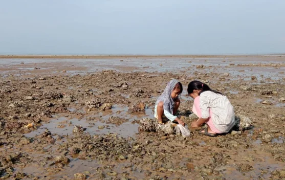 Pesona Ngabuburit di Pantai Pekandangan Sangra Bluto Sumenep