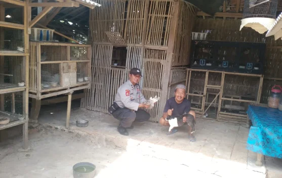 Asta Cita, Polsek Batuputih Gerakkan Pekarangan Bergizi Melalui Ternak Kelinci