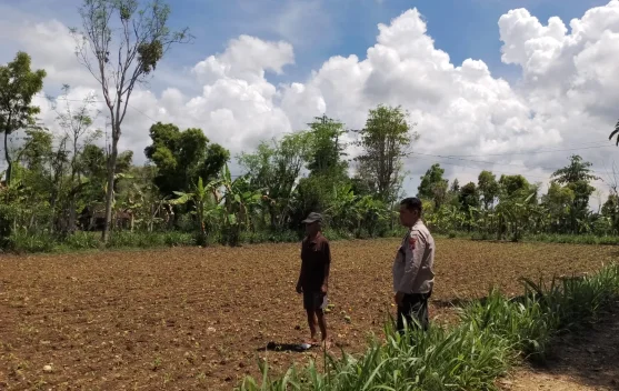 Polsek Batuputih Perkuat Ketahanan Pangan Desa