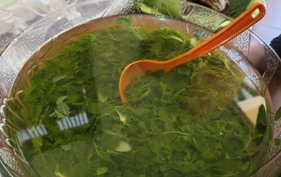Mengenal Sayur Maronggi, Daun Kelor yang Sering Diragukan