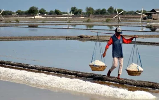 PT Garam Targetkan Swasembada Nasional 2027