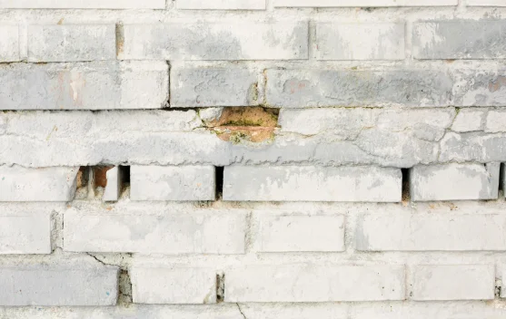 Bakteri Jadi 'Tukang Bangunan' di Bulan