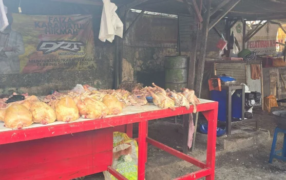 Harga Ayam Potong di Sumenep Tembus Lima Puluh Ribu Rupiah