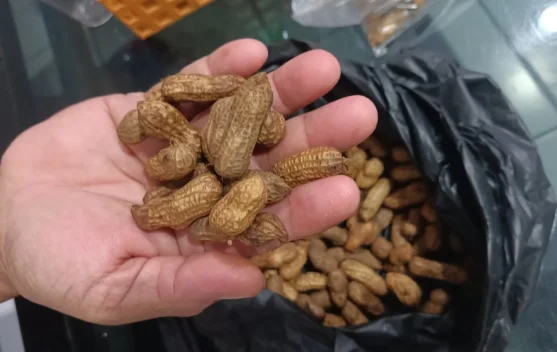 Camilan Kacang Masak Kembali Digemari, Pelaku UMKM Kebanjiran Pesanan