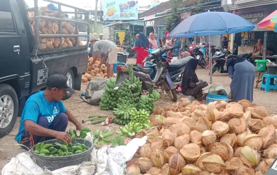 Musim Resepsi Ramai Digelar, Harga Kelapa di Sumenep Stabil