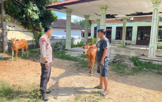 Polsek Batuputih Dukung Ketahanan Pangan lewat Pengecekan Peternakan Sapi