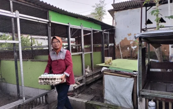 Dari 100 Telur Bebek ke Ribuan Pesanan, Kisah Sukses Bundis Membangun Usaha