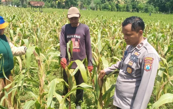 Polsek Dasuk Kawal Program Ketahanan Pangan