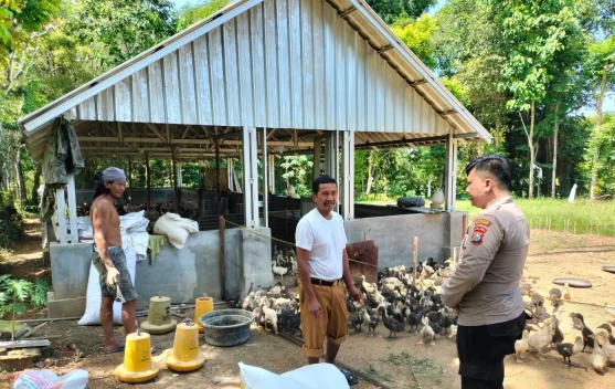 Polisi Dampingi Peternak Bebek di Bluto