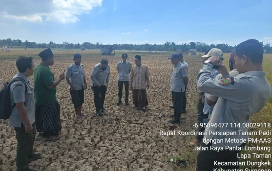 Penyuluh Pertanian Sosialisasikan Demfarm PMAAS di Kecamatan Dungkek