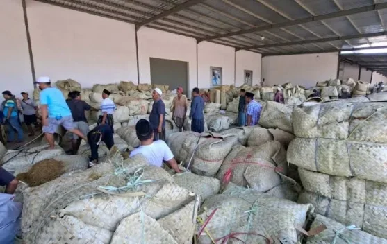 Petani Tembakau Harap Pengambilan Sampel Tidak Berlebihan
