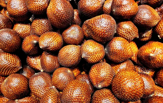 Manfaat Buah Salak, Buah Tropis Kaya Nutrisi