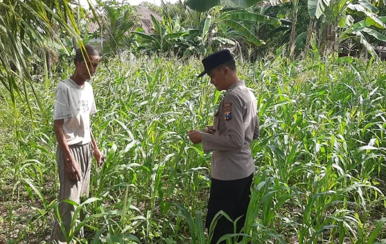 Polsek Batuputih Polresta Sumenep Perkuat Ketahanan Pangan