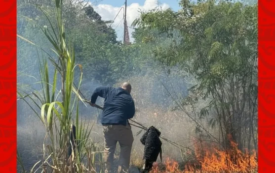 Kebakaran Lahan di Samping Kantor RRI Sumenep, Api Berhasil Dipadamkan
