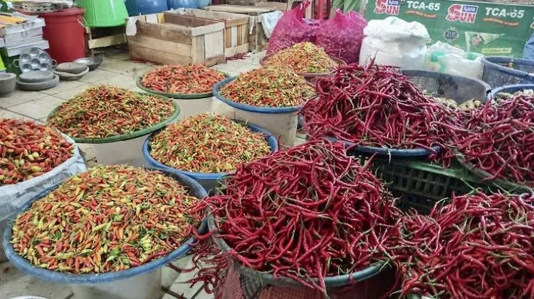 Ramadan, Harga Cabai Rawit di Pangkalpinang Masih Tinggi