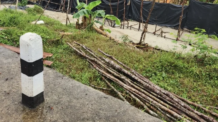 Tambang Ilegal Dekat Jalan Raya Simpang Lumut Berbahaya