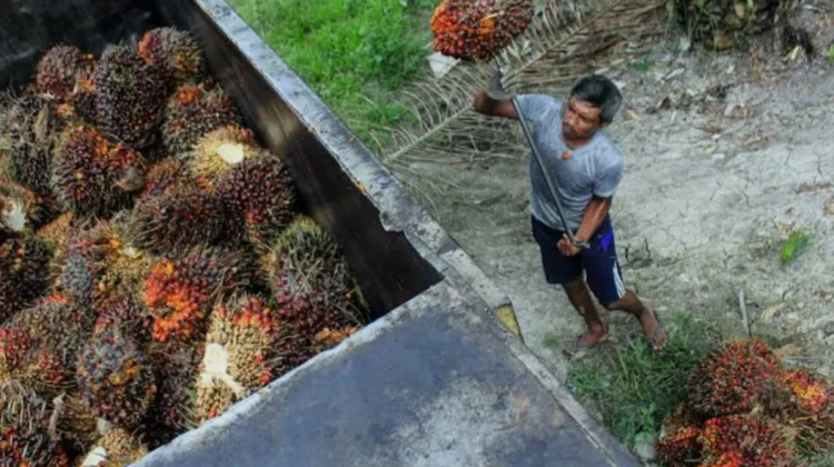 Hari Pekerja Indonesia 2026: Buruh Belitung Harapkan Kesejahteraan