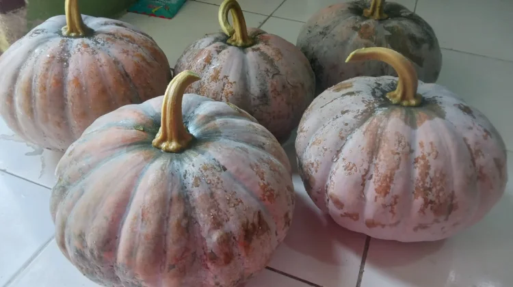 Labu Kuning Jadi Pilihan Menu di Bulan Ramadan