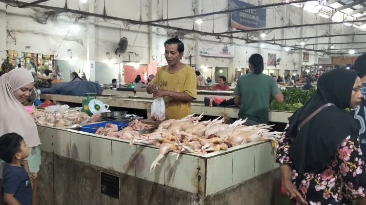 Penuhi Kebutuhan Konsumen, Ayam Pasar Kite Sungailiat Didatangkan dari Lampung