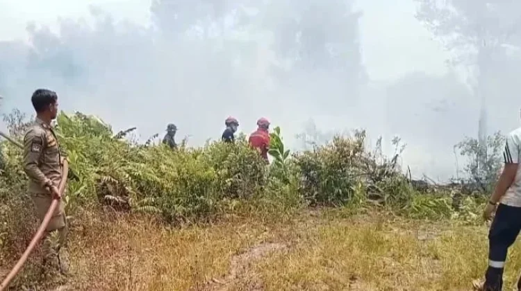 Kejadian Kebakaran di Bangka Naik Signifikan dalam Sebulan Terakhir