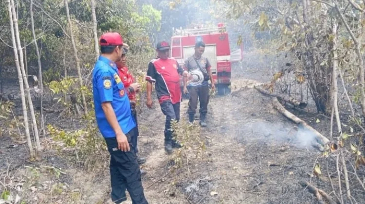 Armada Damkar Terbatas Hadapi Lonjakan hingga 7 Kejadian Kebakaran Perhari