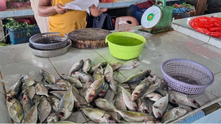 Harga Ikan Sepekan pasca-Lebaran Masih Tinggi