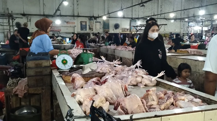 Harga Ayam Pasar Sungailiat Masih Mahal setelah Idulfitri