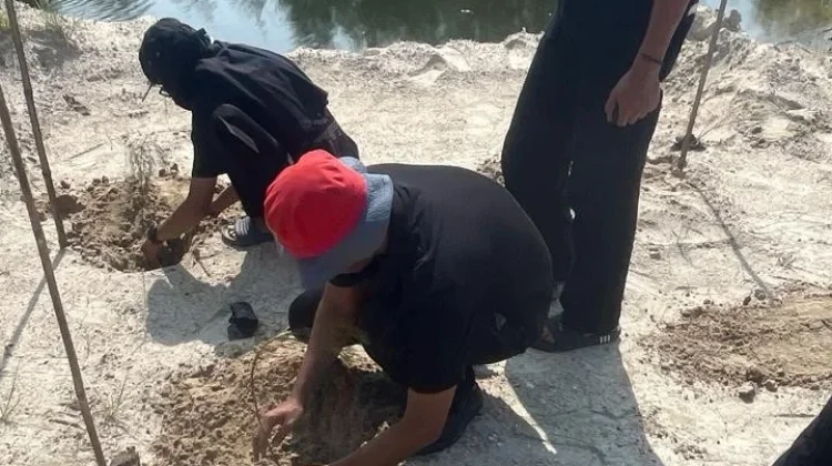Pepelingasih Bersama Mahasiswa Agroteknologi Tanam 250 Pohon Cemara