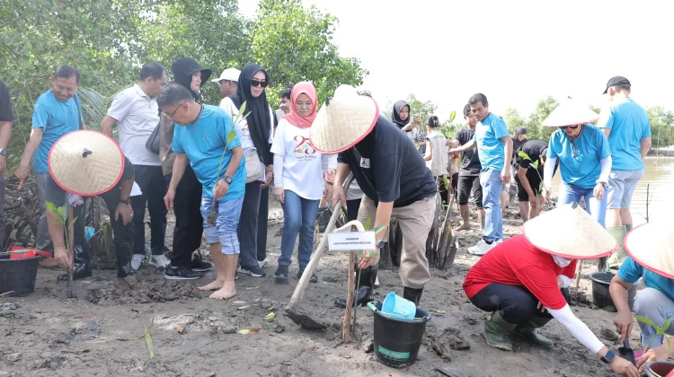 Gubernur  Pimpin Aksi Sosial dan Penanaman Mangrove di Pesisir Pantai