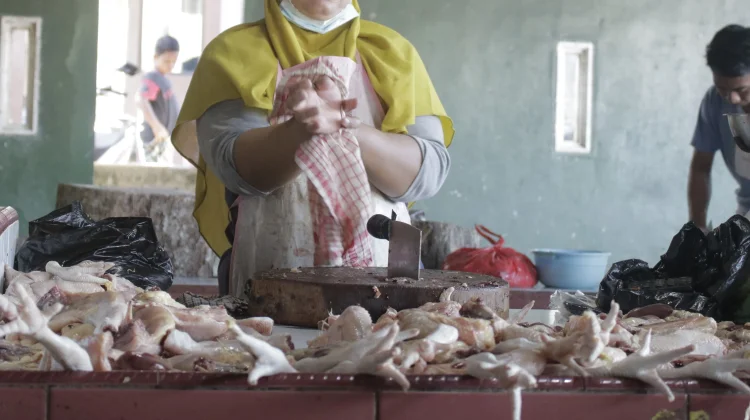 Harga Ayam Potong di Pasar Higienis Sungailiat Turun, Bagian Paha Banyak Diburu