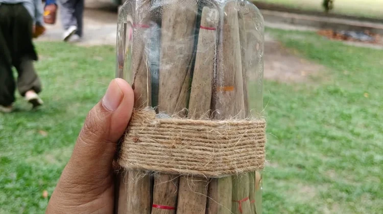 Rukok Sertong Warisan Herbal Khas Bangka Terjaga