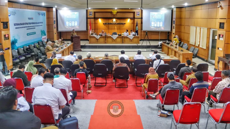 KKP Dorong Penguatan Konservasi Penyu di Pesisir Belitung