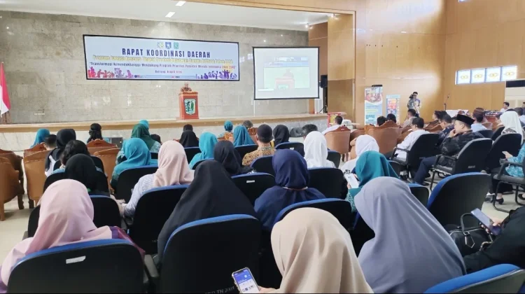 BKKBN Babel akan Gelar Program KB Serentak, Tekan Pertumbuhan Penduduk