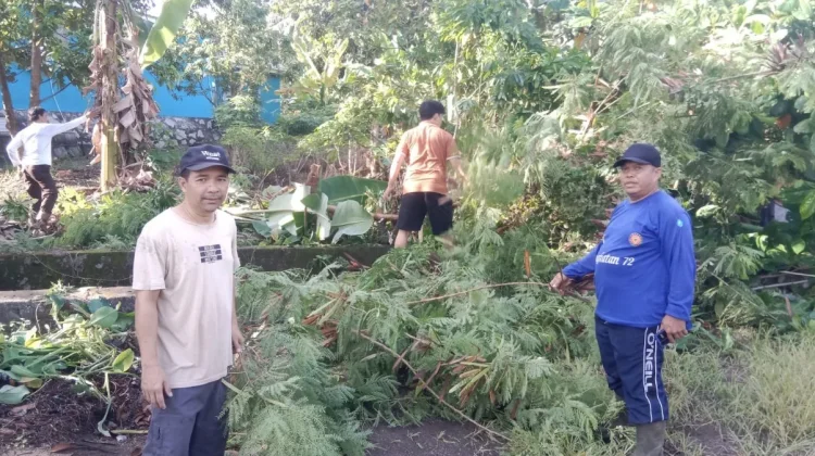 Gotong Royong Pemberantasan Sarang Nyamuk Tekan Risiko DBD
