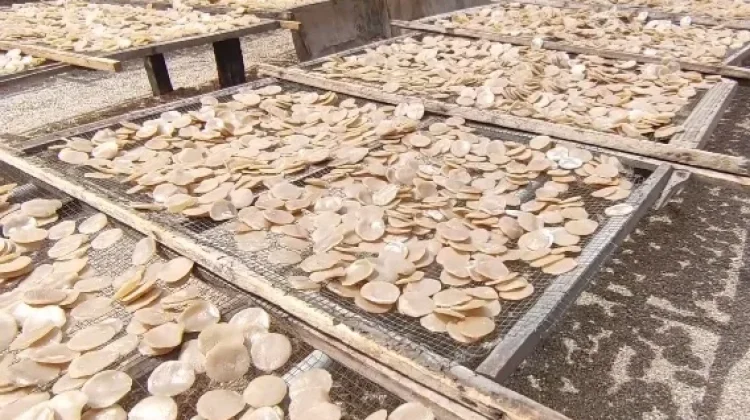 'Kemplang Tjokro' Eksis di tengah Persaingan Dagang Ragam Kuliner di Bangka
