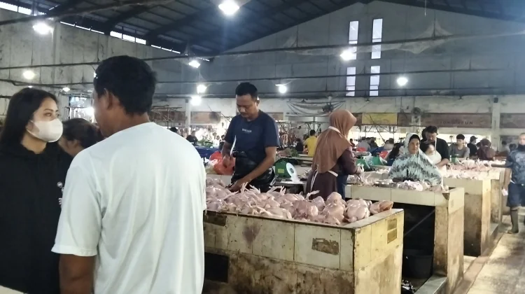 Harga Ayam di Pasar Sungailiat Berangsur Stabil
