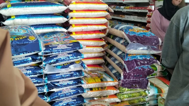 Harga Beras di Bangka Masih Terkendali