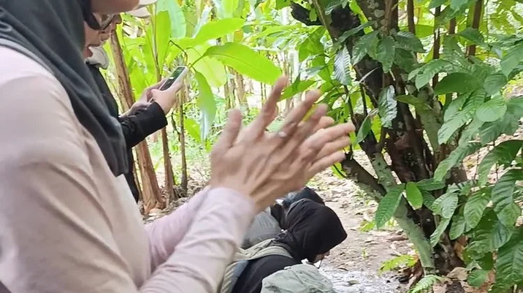 Tanaman Lokal Bangka Dikenalkan ke Wisatawan Aik Biru Bukit Senja