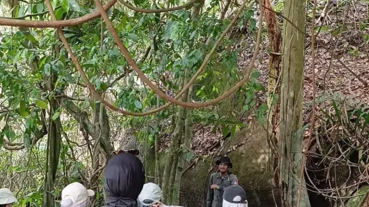 Dinamai dari Habitat Satwa, Goa Lutung di Bukit Senja Simpan Jejak Lutung Kelabu