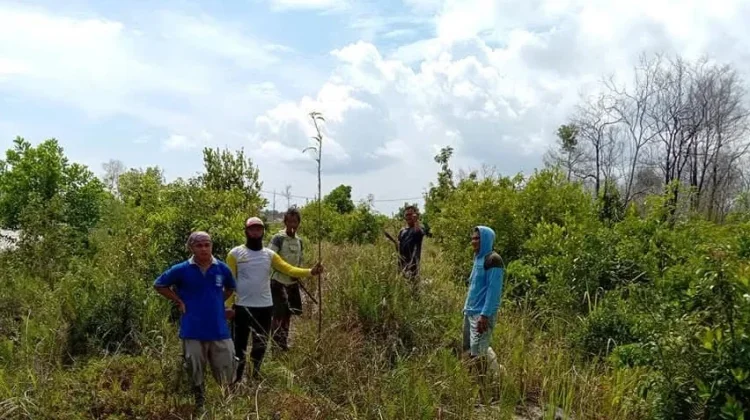 Dari Hutan untuk Rakyat, Babel menuju Berdaya
